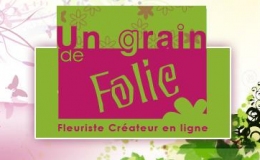 UN GRAIN DE FOLIE
