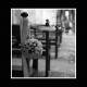 PHOTOGRAPHE lil0-photo