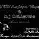 DISC-JOCKEY LED'Animation