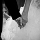 PHOTOGRAPHE Gautier KALMES photographe